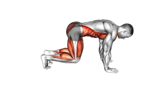 Bear Plank Kickback exercise