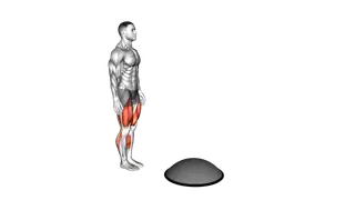 Bosu Ball Step up High Knee