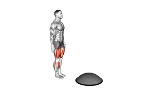 Bosu Ball Step up Single Leg Deadlift