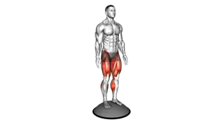 Bosu Ball Alternate Heel Touch Side Kick Squat exercise