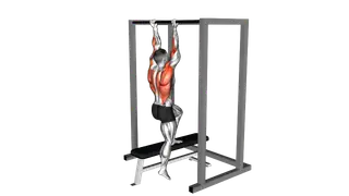 Assisted Chin Up on a bench exercise