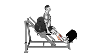 Sled Backward Angled Calf Raise exercise