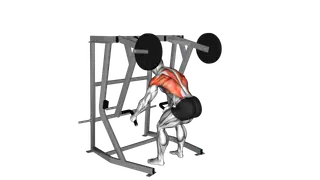 Lever Bent Over Low Row exercise
