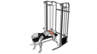 Cable Neutral grip Chest Press exercise