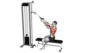 Cable High Row exercise