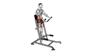 Lever Abdominal Leg Raise exercise