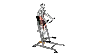 Lever Banded Abdominal Leg Raise