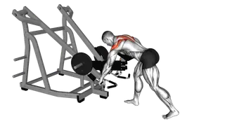 Lever Bent Over Wide Grip Row (with chest support) exercise