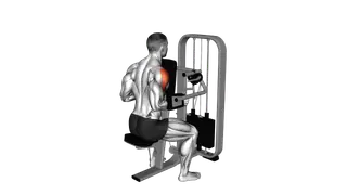 Lever Lateral Raise with Chest Support exercise
