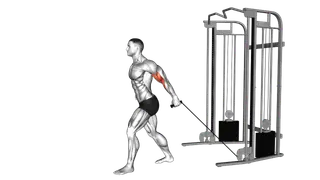 Cable One Arm Neutral Grip Biceps Curl exercise