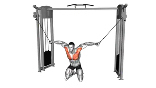 Cable Kneeling High to Low Fly exercise