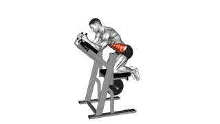 Lever Ab Swing exercise