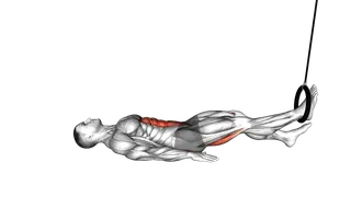 Ring Hip Lift Single Leg Curl exercise