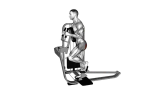 Lever Glute Press exercise