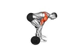 Barbell Bent Over Reverse Raise (skier) exercise