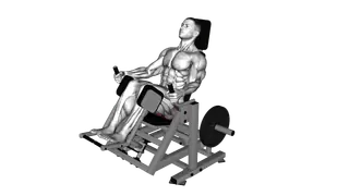 Lever Glute Abductors Press exercise