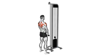 Cable High Pull with Rope Attachment
