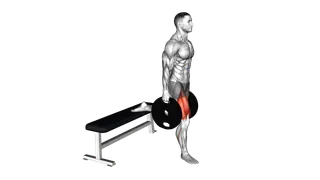 Weighted Plates Bulgarian Split Squat