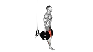 Weighted Plates Bulgarian Split Squat with the Ring