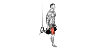 Kettlebell Single Leg Split Squat with the Ring exercise
