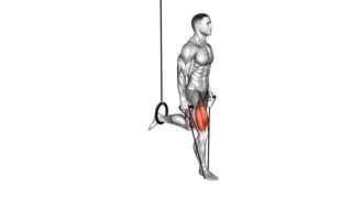 Band Single Leg Split Squat with the Ring exercise