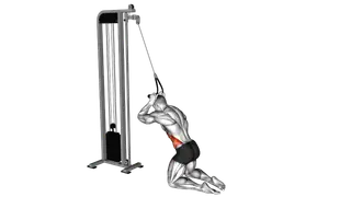 Cable Kneeling Side Crunch exercise