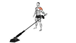 Landmine Single Arm Side Low Fly