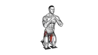 Bodyweight Kneeling Butterfly with Towels exercise