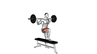 Barbell Bench Lateral Step up exercise