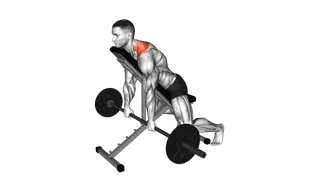 Barbell Decline Shrug exercise