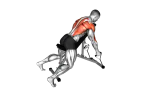 Band Hammer Grip Incline Bench Two Arm Row exercise