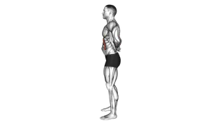 Standing Abdominal Vacuum exercise
