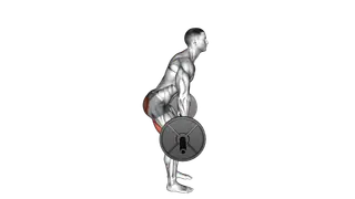 Barbell Dimel Deadlift exercise