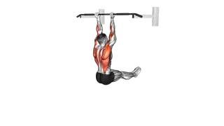 L Sit Chin up