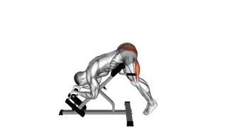 45 degrees Single Leg Reverse Hyperextension exercise
