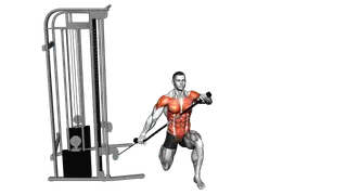 Cable Half Kneeling Lift exercise