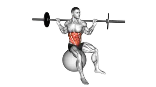Barbell Seated Twist (on stability ball) exercise