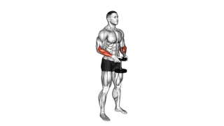 Dumbbell Standing Hands Torsion