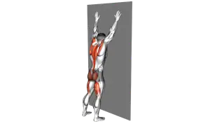 Opposite Arm and Leg Raise against Wall exercise