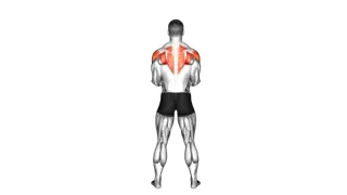 Dumbbell Standing Scapular External Rotation