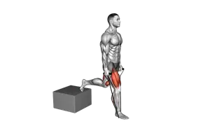 Band Single Leg Split Squat with Low Box exercise