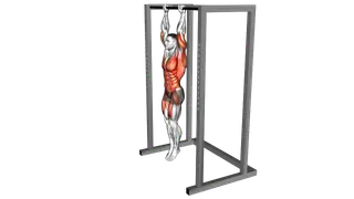 Hanging Front Lever Raise exercise