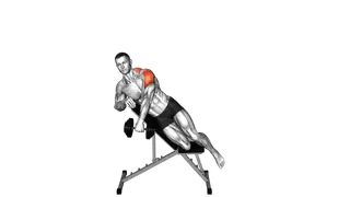 Dumbbell Incline Powell Raise