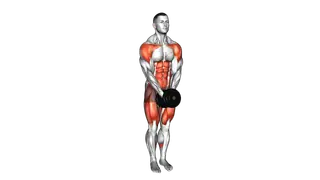 Dumbbell Change Lateral Raise Curtsey Lunge exercise