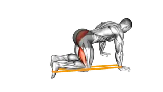 Resistance Band Leg Kickback exercise