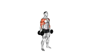 Dumbbell Standing Hammer Curl to Press