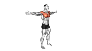 Bodyweight Standing Straight Arm Chest Fly