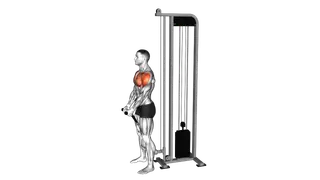 Cable Front Raise (rope attachment) exercise