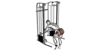 Cable Donkey Diagonal Kickback exercise