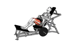 Lever Hip Thrust (plate loaded) exercise